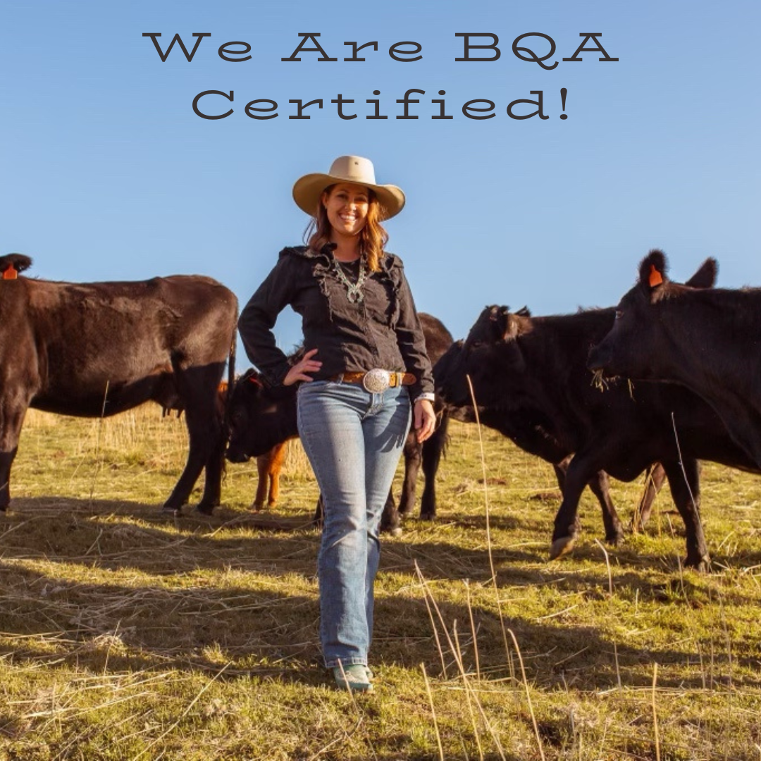 We Are Now BQA Certified! – Flying F Ranch