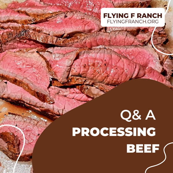 Processing Beef Q&A