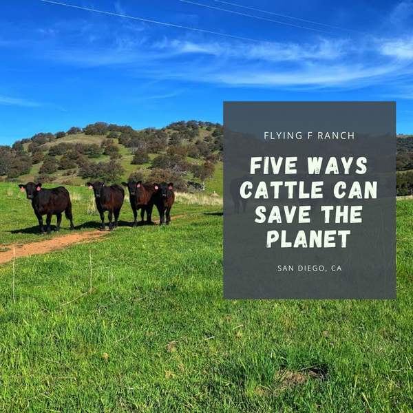 Five Ways Cattle Can Save the Planet